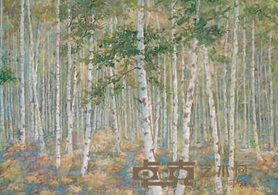 金焰 白桦林 60×85cm